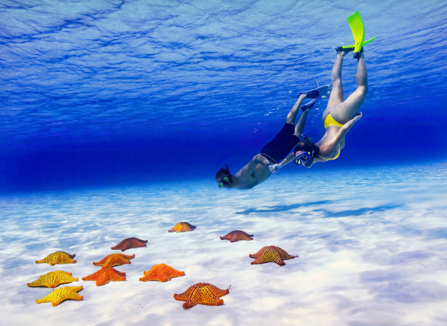 El Cielo Cozumel Snorkel Tour + 3 Reefs + Food + Drinks